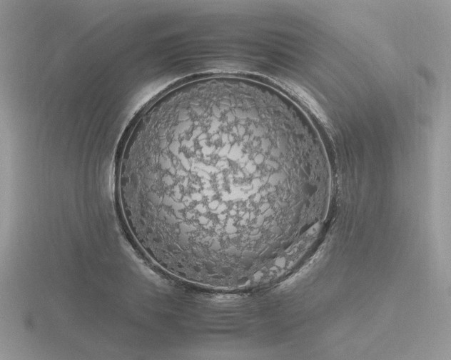 X0000116560839200912101448