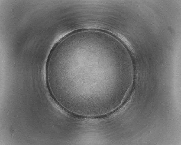 X0000116560840200912101448