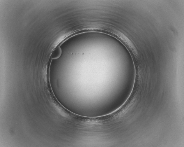 X0000116560842200912101448