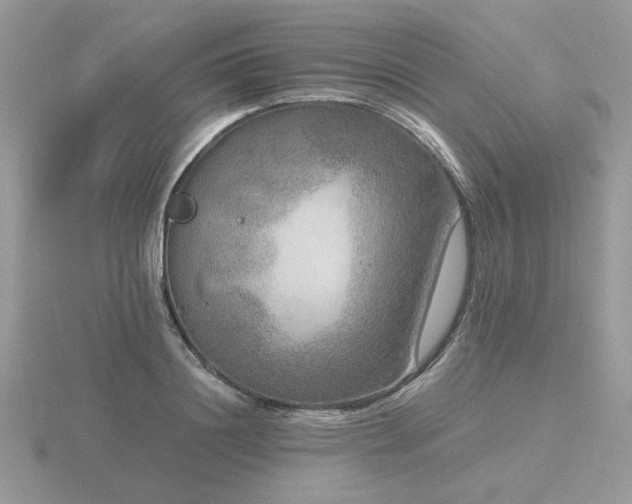 X0000116560844200912101448