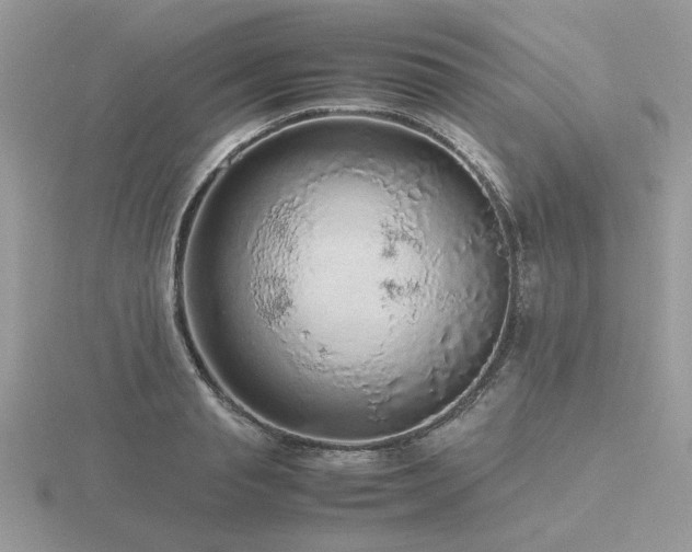 X0000116560845200912101448
