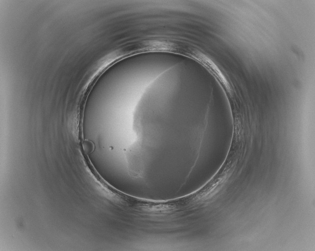 X0000116560851200912101448