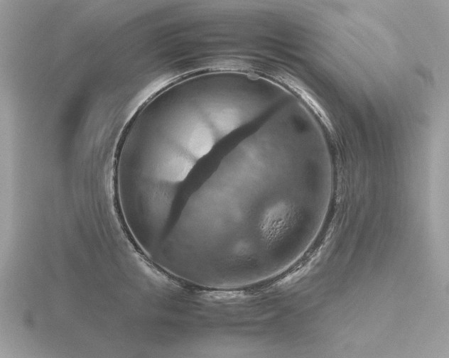 X0000116560853200912101448