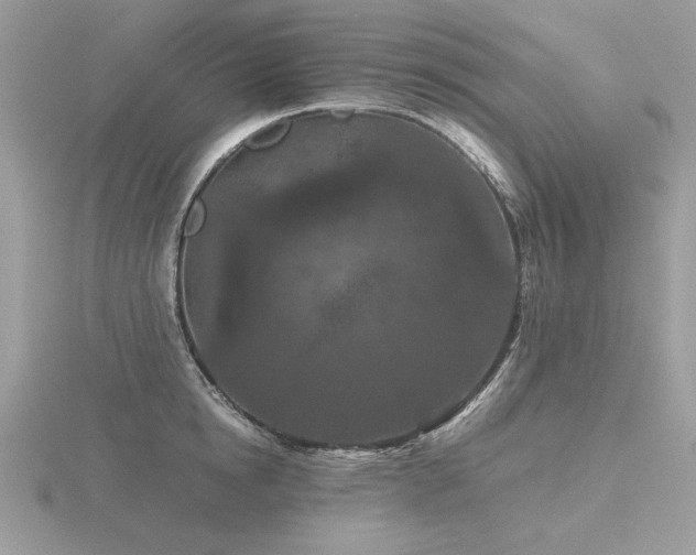 X0000116560854200912101449