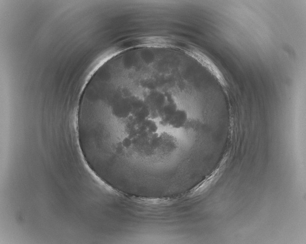 X0000116560855200912101449