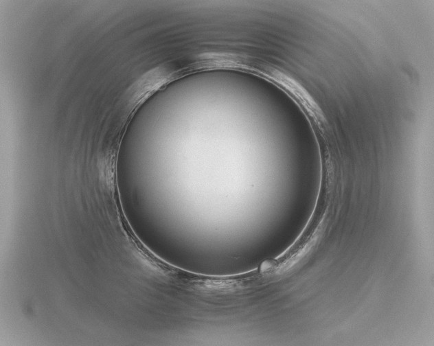 X0000116560857200912101449