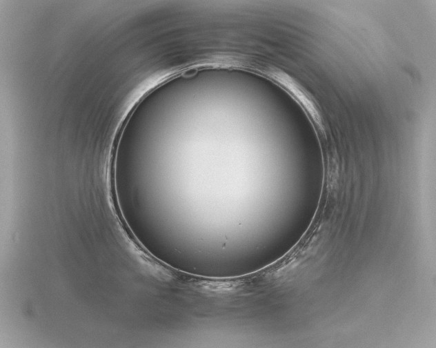 X0000116560861200912101449