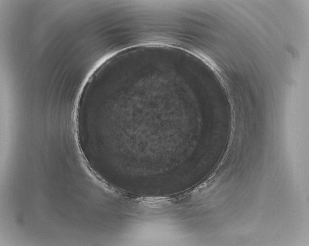 X0000116560864200912101449