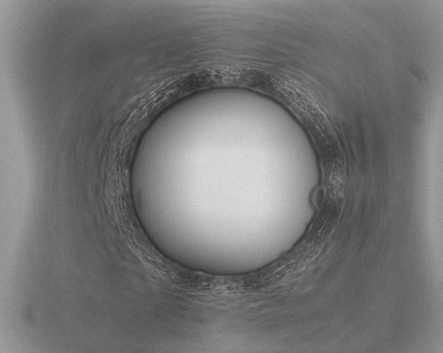 X0000116560865200912101448