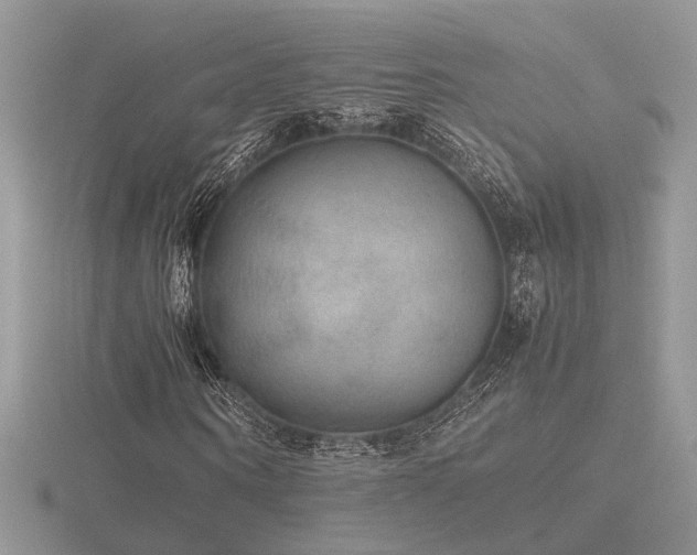 X0000116560866200912101448