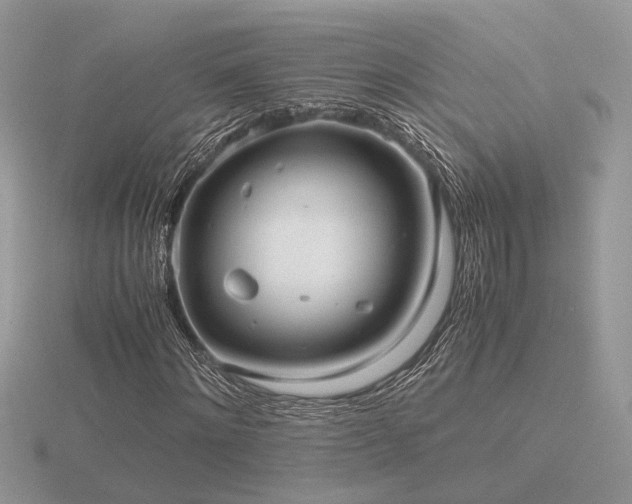X0000116560868200912101448