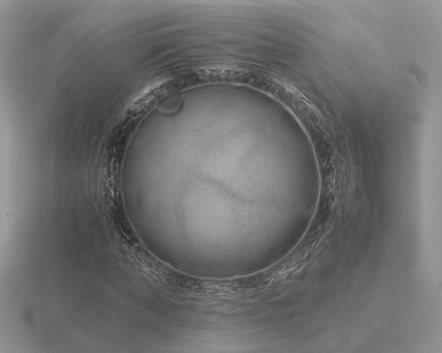 X0000116560870200912101448