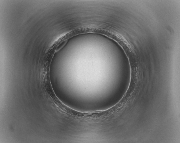 X0000116560872200912101448