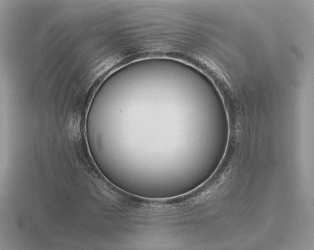 X0000116560873200912101448