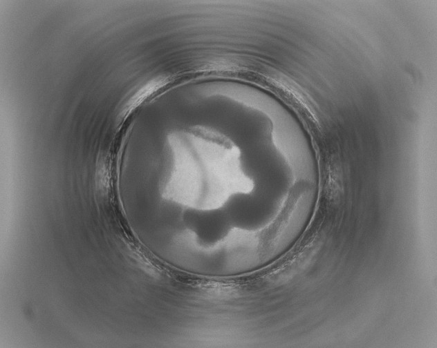 X0000116560874200912101448