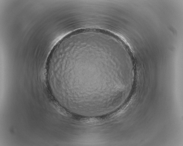 X0000116560879200912101448