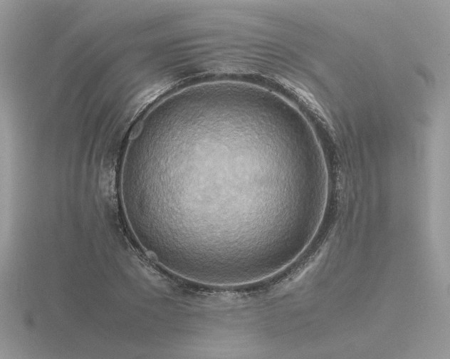 X0000116560881200912101448