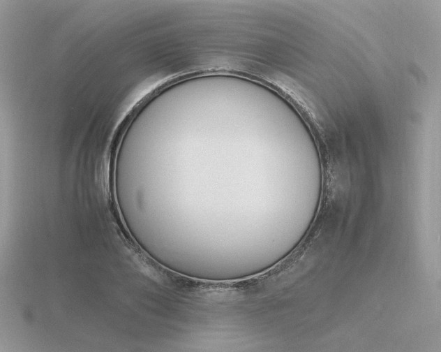 X0000116560886200912101448
