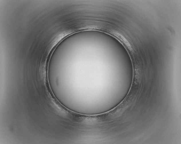 X0000116560890200912101448