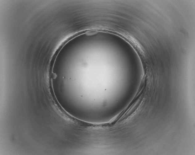 X0000116560896200912101448