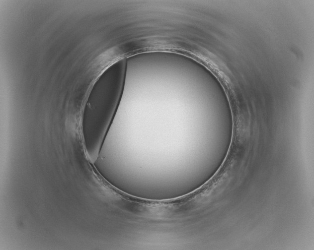 X0000116560897200912101448