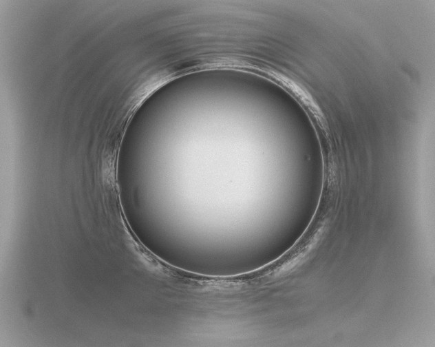 X0000116560905200912101447