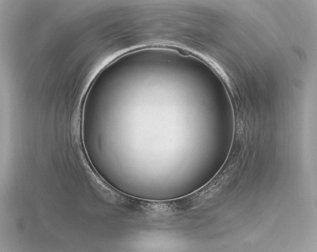 X0000116560911200912101447