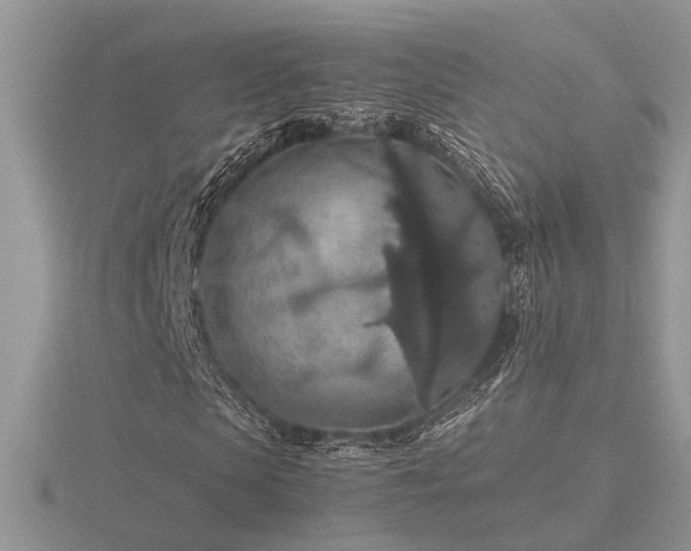 X0000116560913200912101447