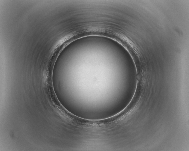 X0000116560922200912101447