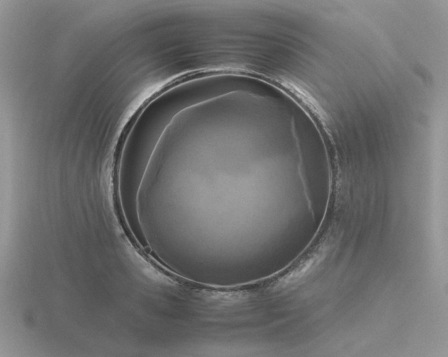X0000116560941200912101447