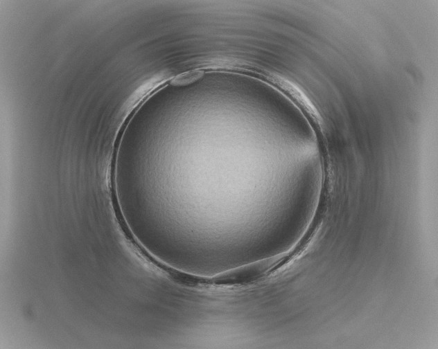 X0000116560946200912101447