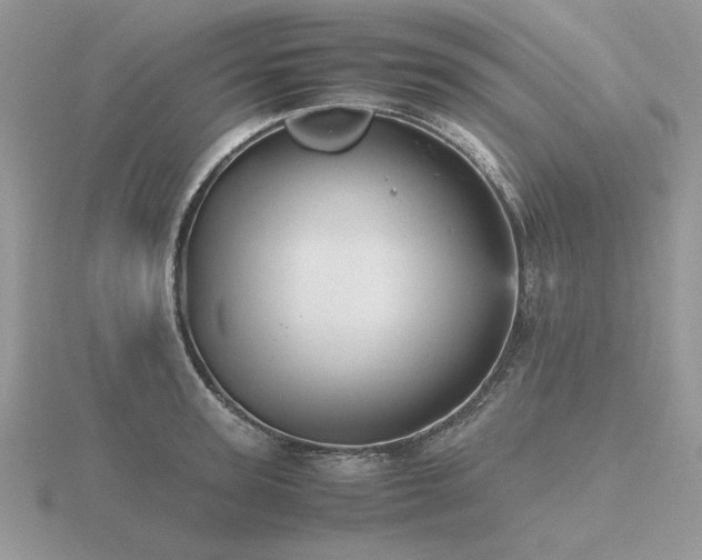X0000116560947200912101447