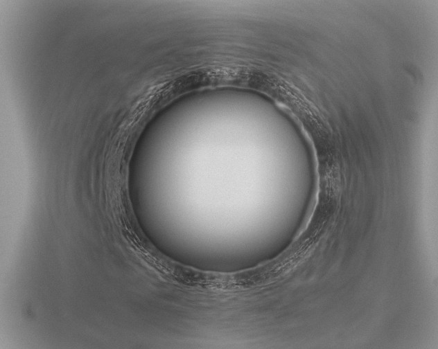 X0000116560961200912101446