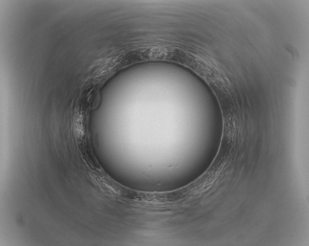 X0000116560962200912101446
