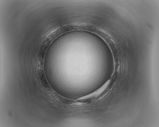 X0000116560966200912101446