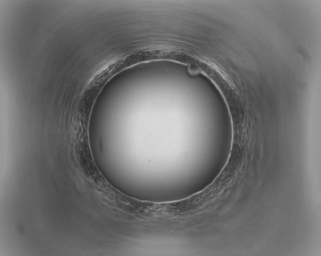 X0000116560967200912101446