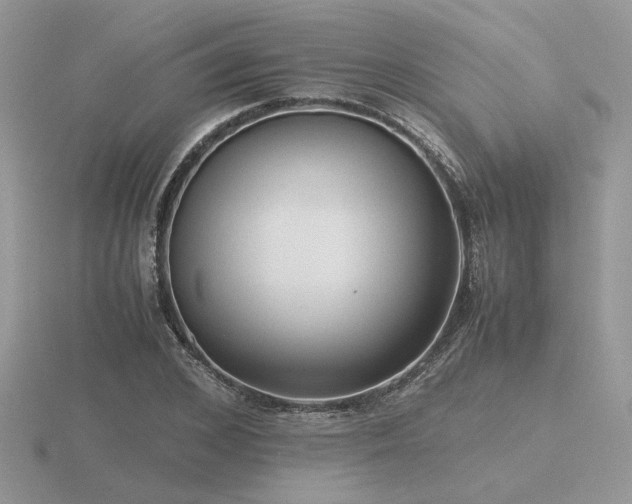 X0000116560976200912101446