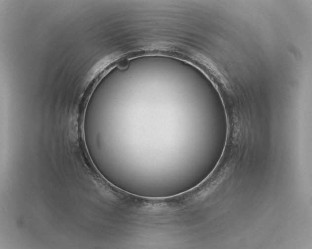 X0000116560978200912101446
