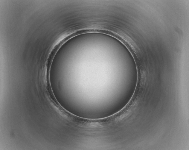 X0000116560982200912101446