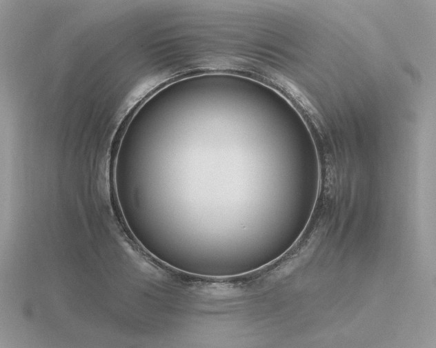 X0000116560986200912101446