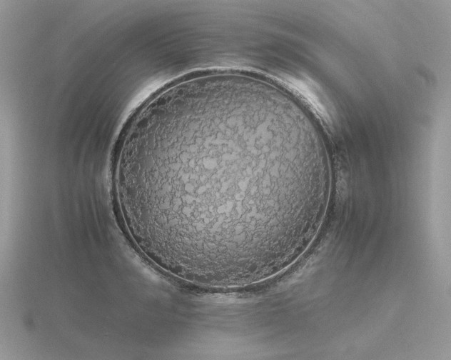 X0000116560990200912101446