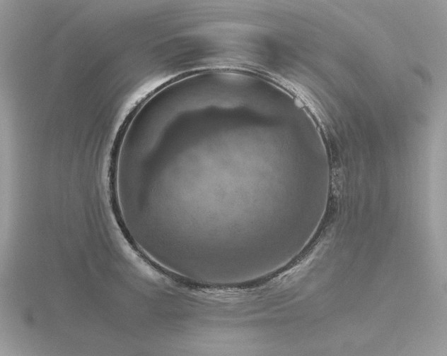 X0000116560995200912101446
