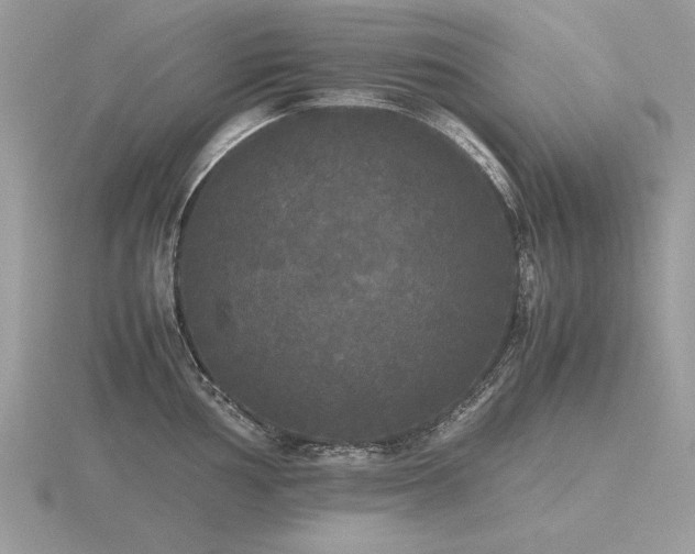 X0000116561002200912101446