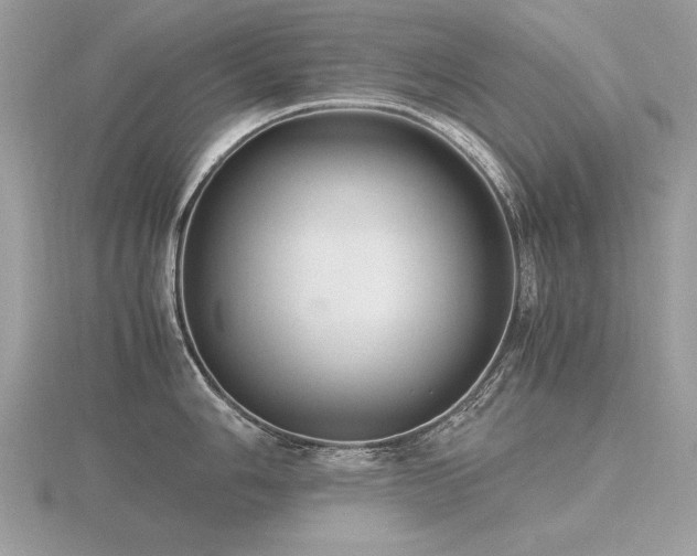 X0000116561006200912101446