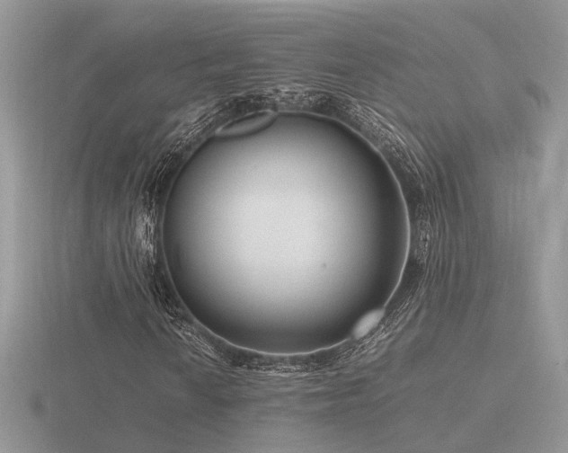 X0000116561010200912101445