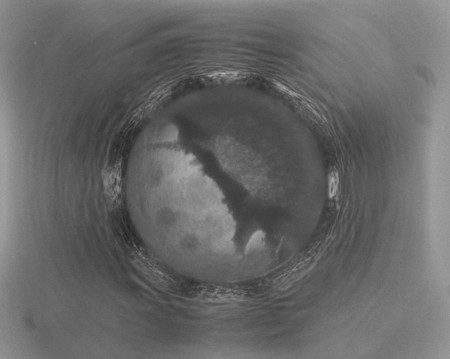 X0000116561011200912101445