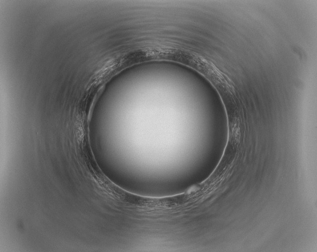 X0000116561012200912101445