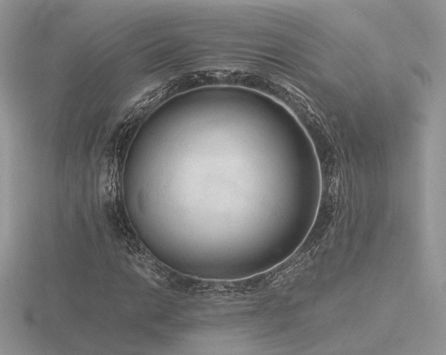 X0000116561014200912101445