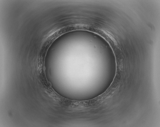X0000116561015200912101445