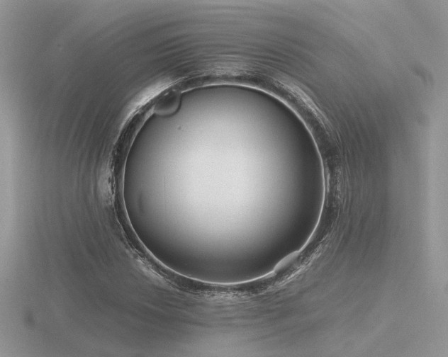 X0000116561018200912101445